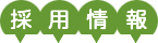 採用情報