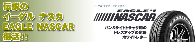 伝説のイーグル　ナスカ　ＥＡＧＬＥ　ＮＡＳＣＡＲ　復活